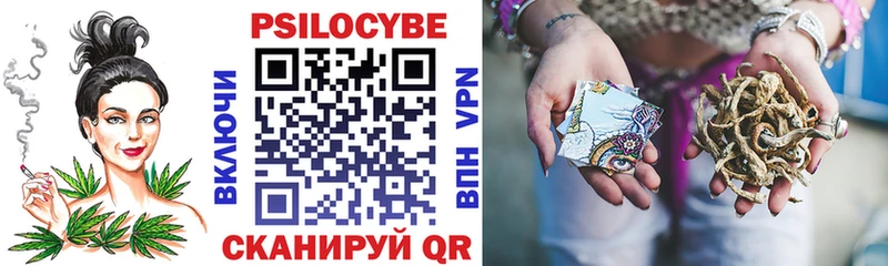 Псилоцибиновые грибы Cubensis Хилок